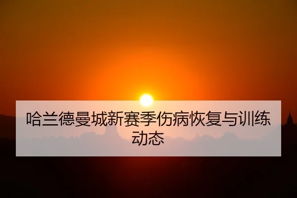 哈兰德曼城新赛季伤病恢复与训练动态（qiedingjing）